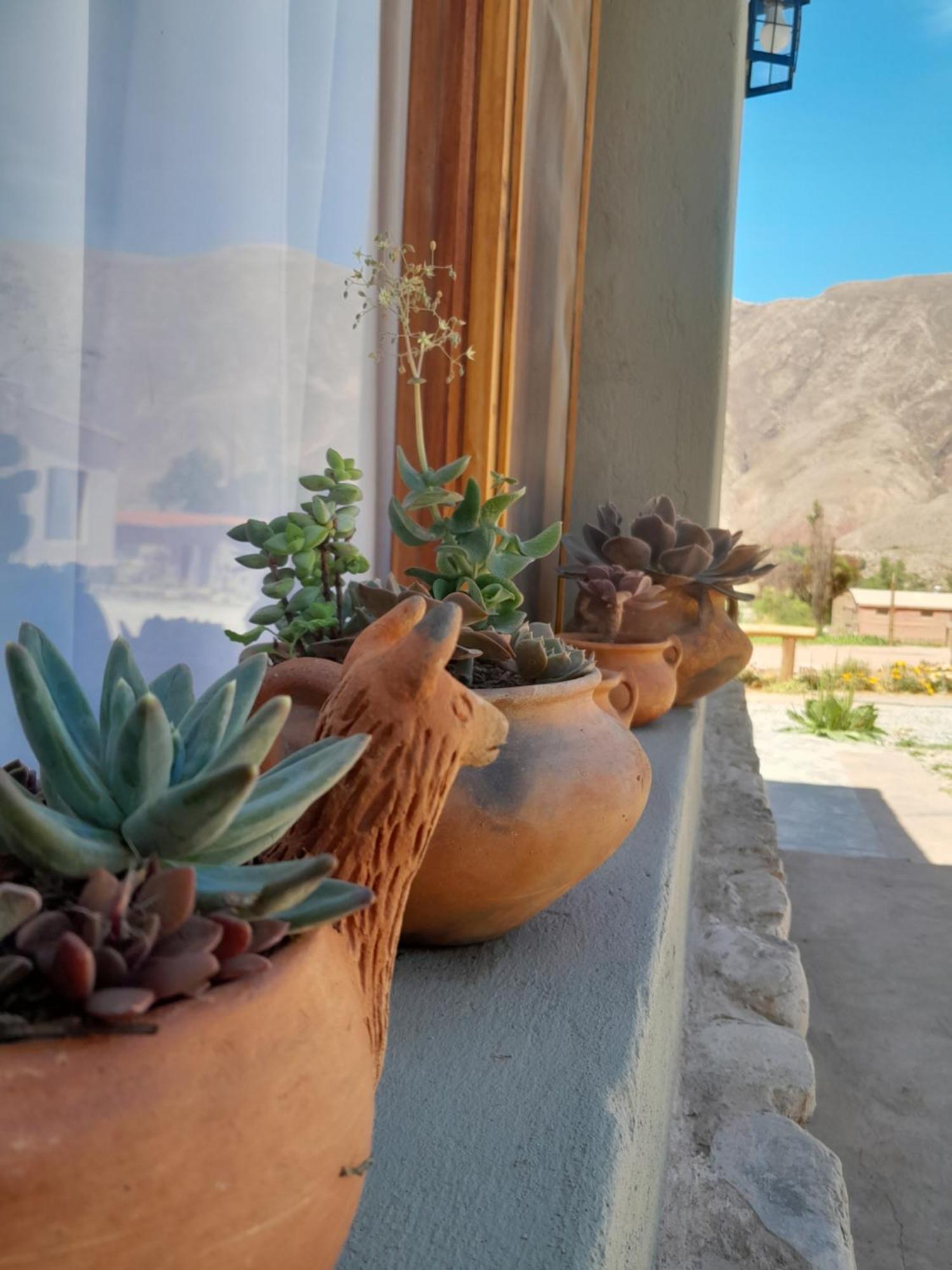 Apartamento Tierra Primitiva Tilcara