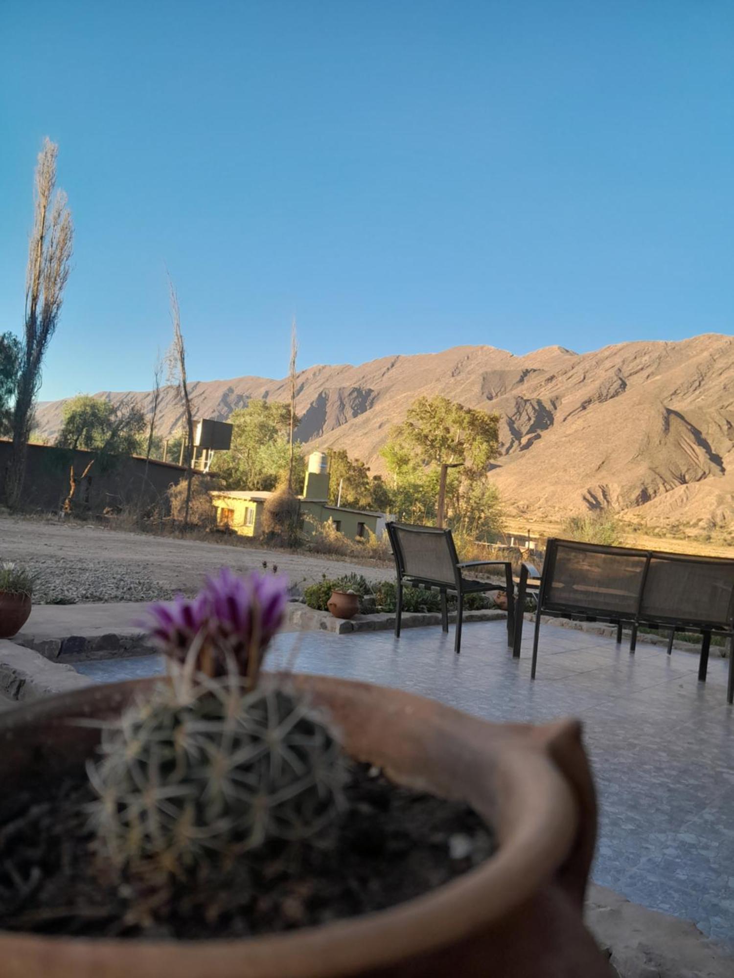 Tierra Primitiva Apartamento *