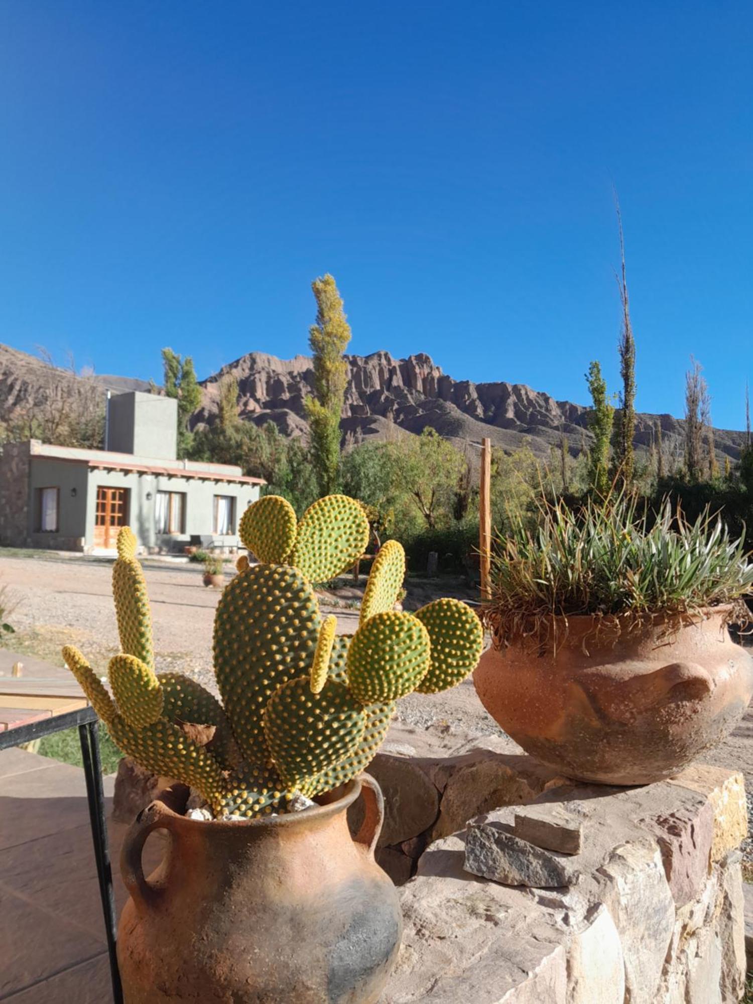 Tierra Primitiva